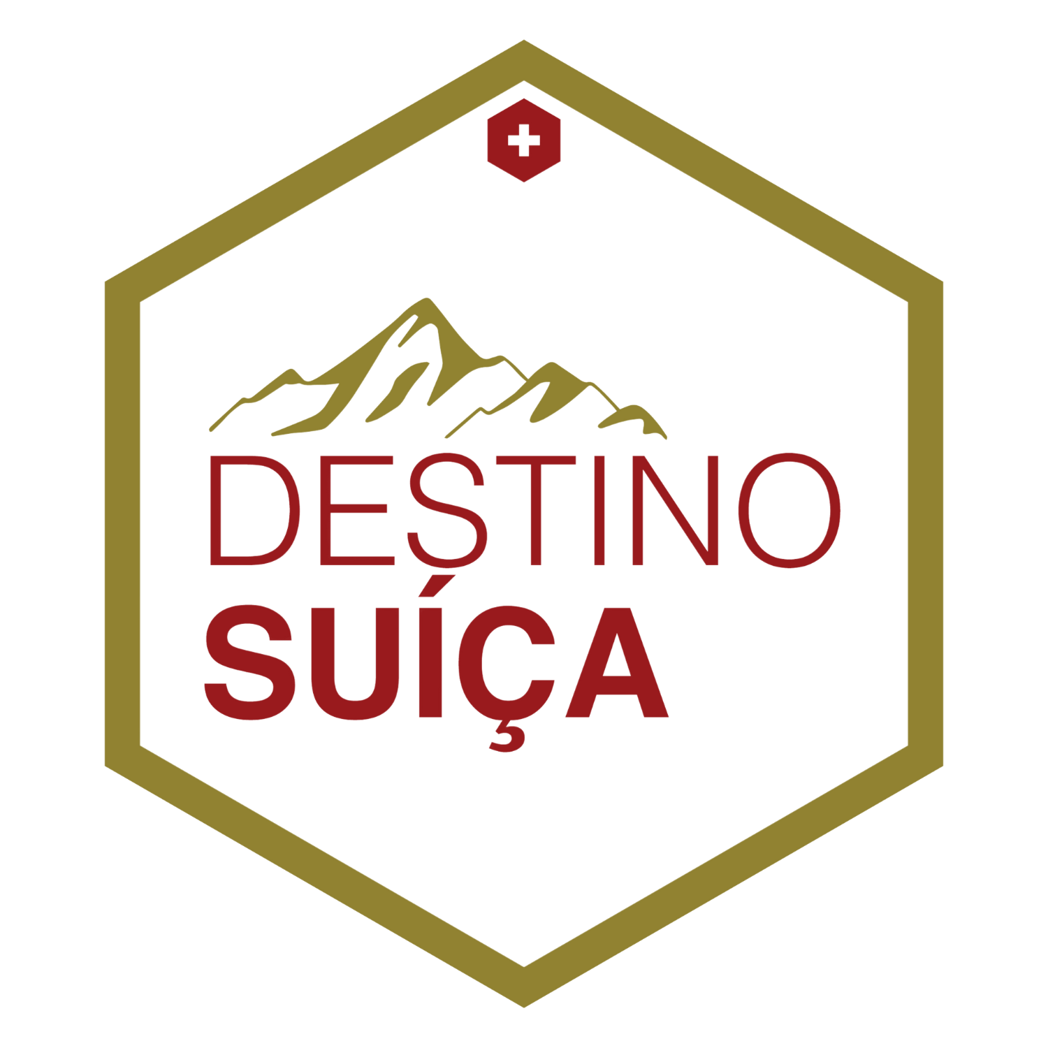 (c) Destinosuica.com